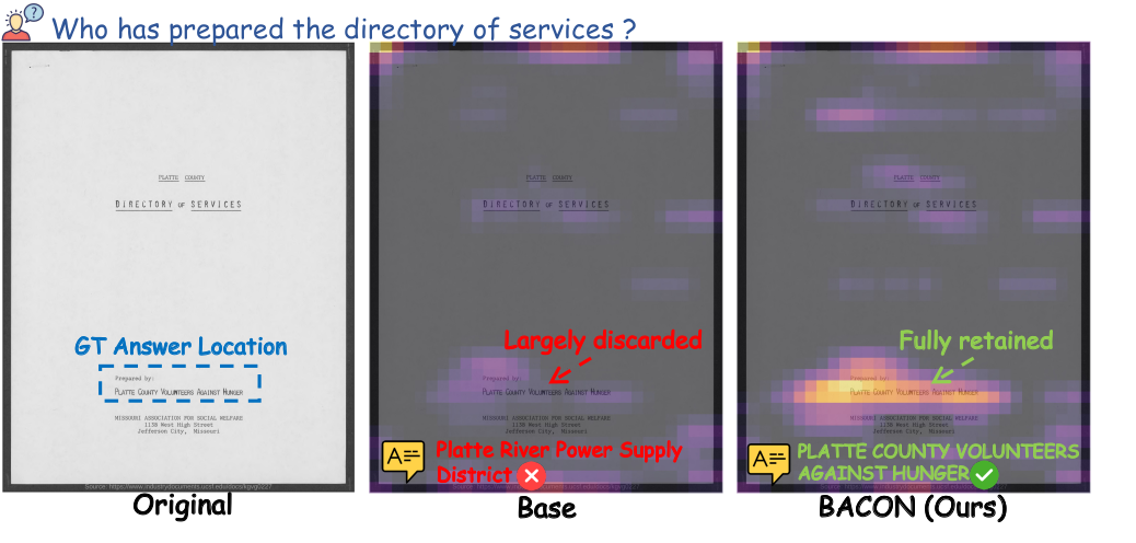 Visual importance estimation under low budget on SnapKV: Observation window vs. BACON
